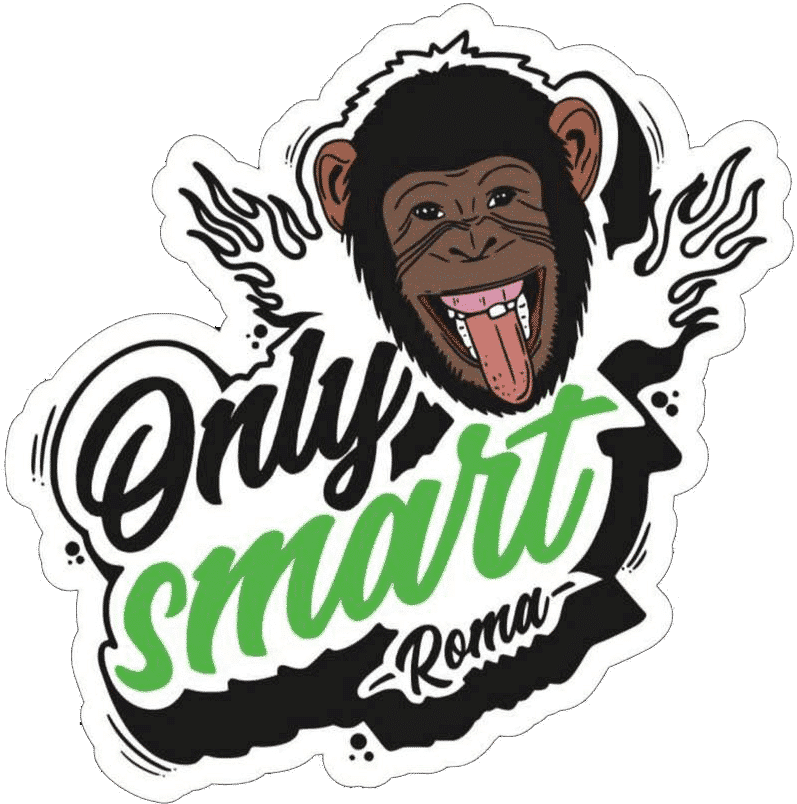 consulenza digital marketing roma